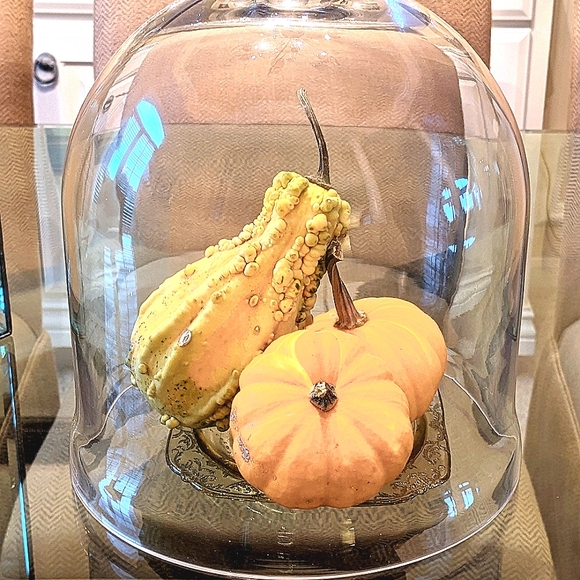 Bell shape glass dome 12" X 10.5" - Picture 8 of 10